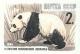 162915B - Бамбуковый медведь (большая панда). Печать глубокая, без перф