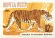162919B - Уссурийский тигр. Печать глубокая, без перф