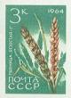 162923B - Пшеница "безостая-1". Печать глубокая, без перф